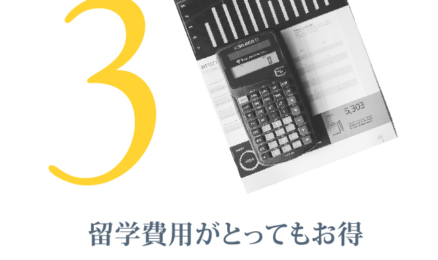 Point3 一般英会話だけではなく、ビジネス英会話、TOEIC、TOEFL、IELTSなどの試験対策もしっかりと学習できる
